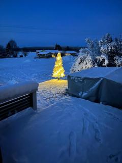 Unique Home Lapin Kulta - 8