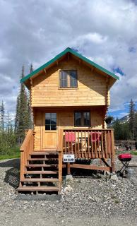 Secluded, Pet Friendly Cabin near Denali National Park with Mountain and Lake Views, Perfect for an Alaskan Escape - Cantwell - 0