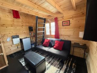 Secluded, Pet Friendly Cabin near Denali National Park with Mountain and Lake Views, Perfect for an Alaskan Escape - Cantwell - 1