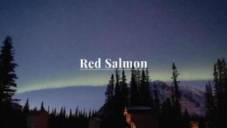 Secluded, Pet Friendly Cabin near Denali National Park with Mountain and Lake Views, Perfect for an Alaskan Escape - Cantwell - 3