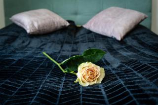 Timeless Elegance Suite - 5