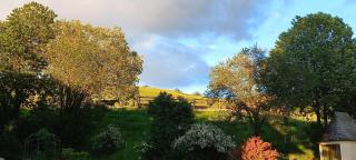 Roiderhof Irrsee - 2