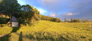 Roiderhof Irrsee - 3