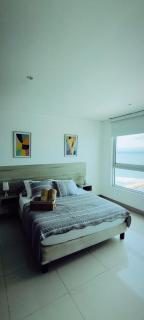 Palmeto beach apto 1204 frente al mat - 8