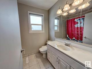 UofA Bike Lane-Train-Bus, Southgate Mall, Cental - 4