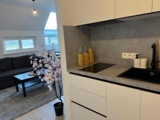 2BR, Danube, Kahlenberg, Historic - FHG 16 - 7