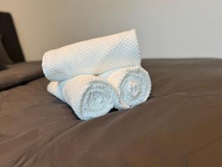 2BR, Danube, Kahlenberg, Historic - FHG 16 - 6