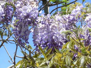 Chambres d'hôtes de Massigoux - 6
