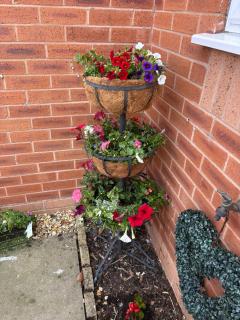 Gorgeous Sandpiper Mews - 4