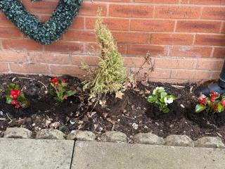 Gorgeous Sandpiper Mews - 1