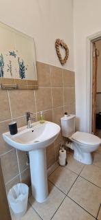 Lovely Victorian Apartment in Clifton Village - 7