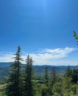 Barino Pietragavina - 4