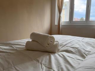 2BR, Balcony, Central, Donau, U6 & S-Bahn - BRN 16 - 4