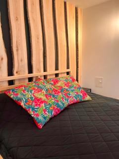 Woodstock IX, self check-in - 6