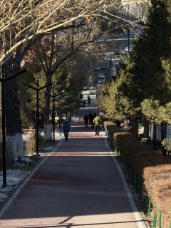 Cozy tiny apartment - 5