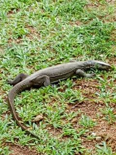 Villa Sada Diya Eco Resort - 8