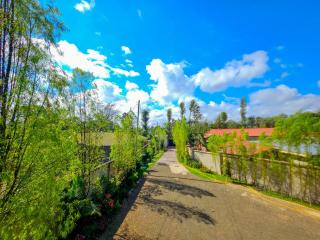 Fly Africa Village 2 - 3