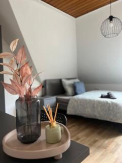 Socha Apartments Zuhause auf Zeit, Monteurwohnungen in Remscheid - 6