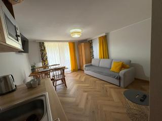 Apartament, Studio, Pokój NAD POTOKIEM - 1