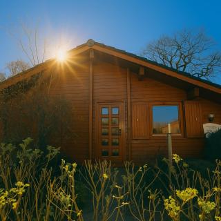 Küstenhaus Brandgans - 9