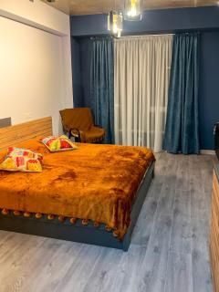 Bakuriani premium comfort - Bakuriani - 6