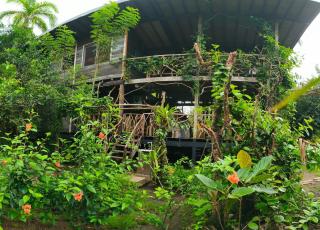 Majagua - Bahía Solano - 9