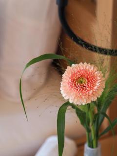 Hotel Leinsweiler Hof - 9