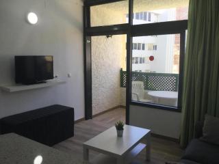 Dunas Playa del Ingles - 8