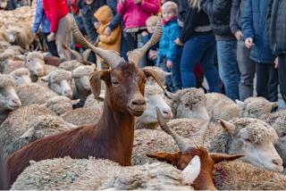 Casa Luz - 9 personnes, Cosy, Jardin, 7 lits, CLIM en été - 9