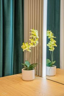 Luxurious apartment by Hotel Casa David 2025 - 4