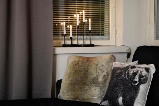 Cozy 2BDR Apartment with sauna - 6