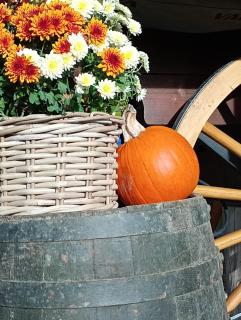 Sunrise Hills Country - 3