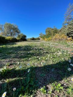 Appartement Vue mer La Croix Valmer - 6