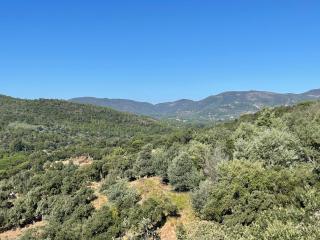 Appartement Vue mer La Croix Valmer - 2