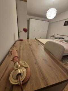 Panorama 7-Apartment ultracentral view memorabil - 9