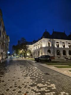 Panorama 7-Apartment ultracentral view memorabil - 4