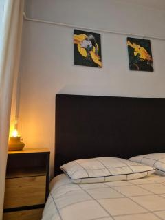 Panorama 7-Apartment ultracentral view memorabil - 2