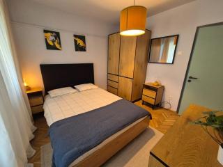 Panorama 7-Apartment ultracentral view memorabil - 1