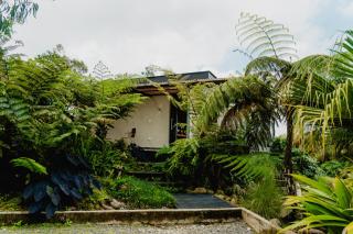 Element Quindío - 0