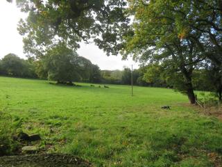 Holland Park Farm - 2