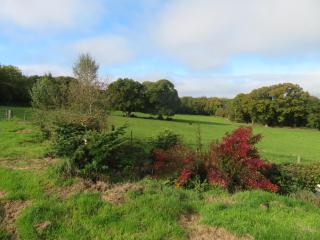 Holland Park Farm - 1