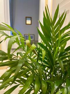 Le suite Vomero - Napoli - 9