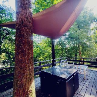 Charmant huis met sauna in de bossen van Hastière - 4