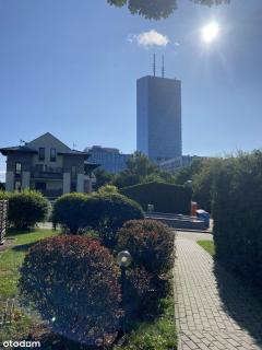 Apartment Olivia Business & Relax - 2