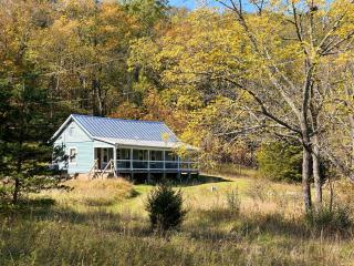 Cabin on 17 acres by National Forest - 0