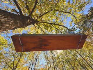 Cabin on 17 acres by National Forest - 9