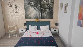 Downtown Studio Universitate - 7