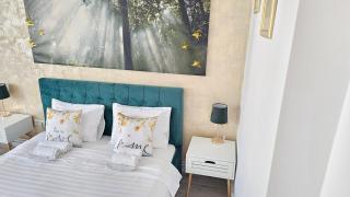 Downtown Studio Universitate - 3