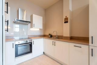 Contemporary City 1-Bedroom Apartment with Sofa Bed - 8