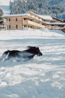 Mariengut - Natur Aparthotel Kramer - 2